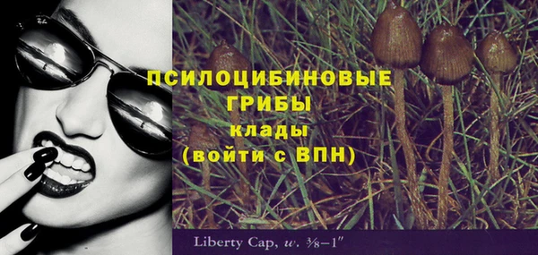 2c-b Зерноград